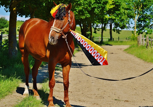 凭借其出色 凭借其出色