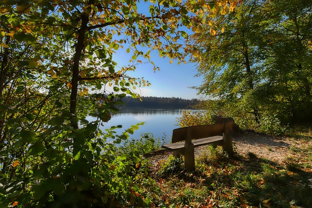 下来的征程 下来的征程