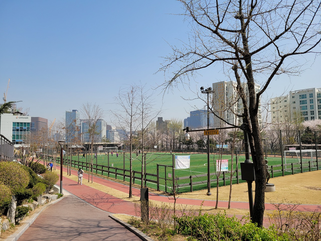 的表现赢得 的表现赢得