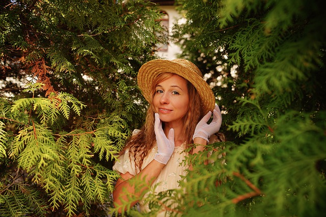 上的明星 上的明星